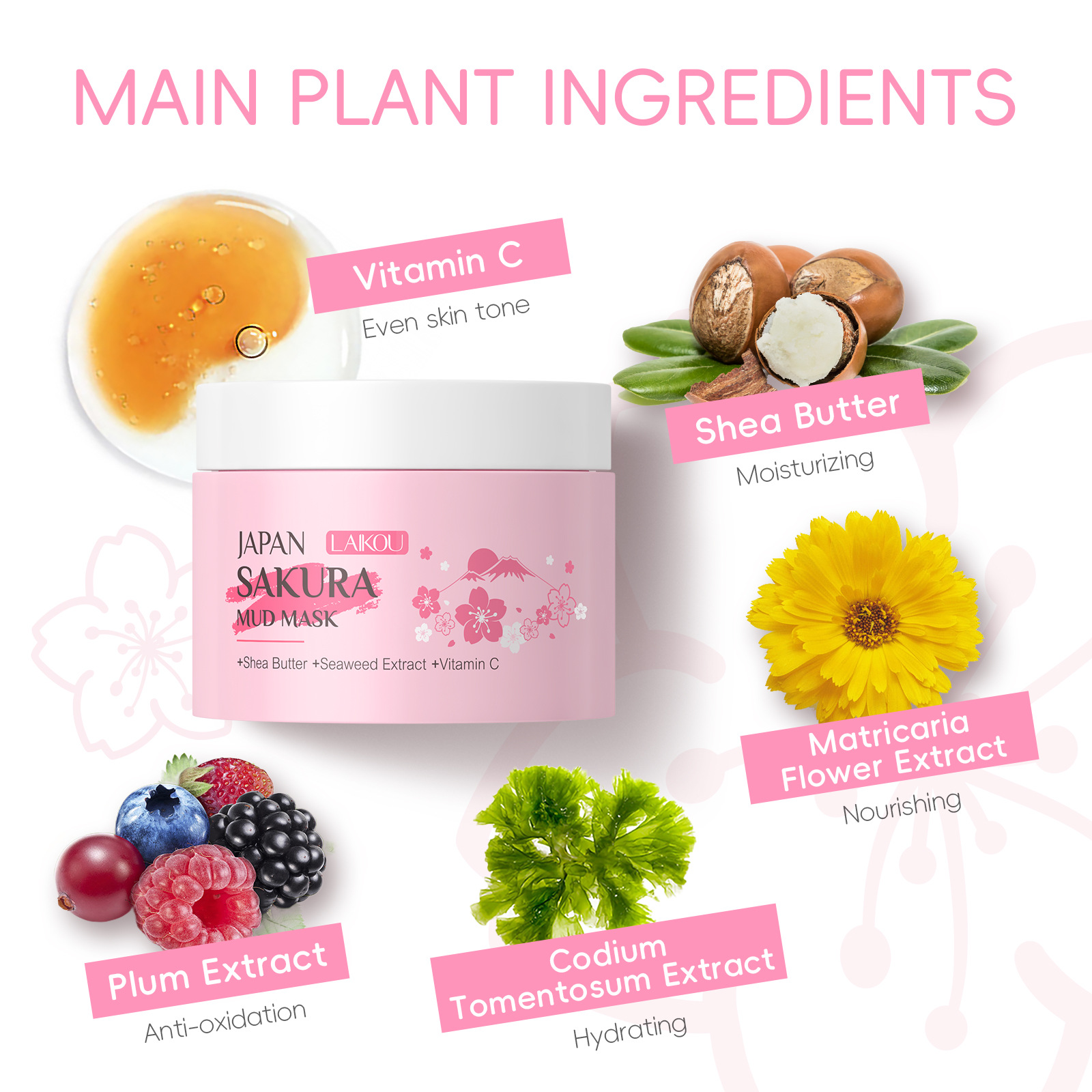 LAIKOU Sakura Clay Mask 25g 90 - Dust Mask Construction recensie en prijs