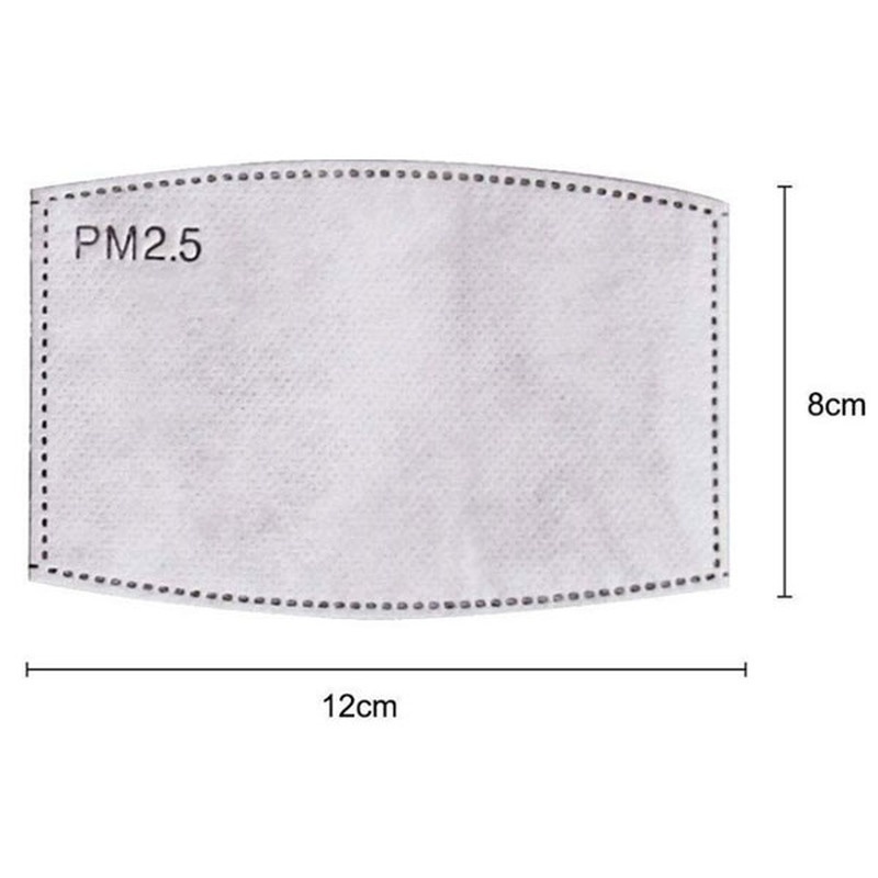 2PCS Mask Filter Element PM2.5 - Pm2.5 Filter Insert recensie en prijs